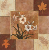 White Orchid