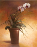Flowering Orchid I