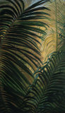 Buy Light through the Palm Fronds at AllPosters.com