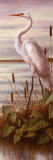 Egret