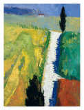 Tuscan Field II