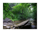Buy Looking Glass Creek at AllPosters.com