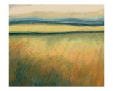 Buy Inspiration at AllPosters.com