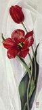 Buy Two Red Tulips at AllPosters.com