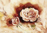 Rose Shadow I