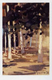 Buy Bosque II at AllPosters.com