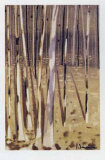 Buy Bosque IV at AllPosters.com
