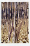 Buy Bosque III at AllPosters.com