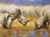 Buy Rhinoceros at AllPosters.com