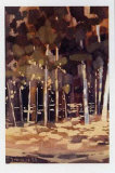 Buy Bosque I at AllPosters.com