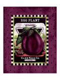 Buy Eggplant Seed Pack at AllPosters.com
