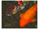 Green Rock Japanese Koi II