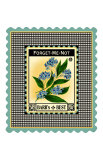 Forget Me Not Flower