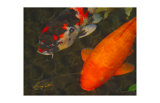 Green Rock Japanese Koi II