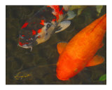 Green Rock Japanese Koi II