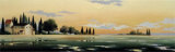 Buy After the Rain I at AllPosters.com