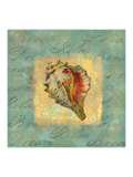 Spa Sea Shell III