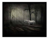 Buy Solitude at AllPosters.com