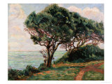 Buy La Pointe De La Pierriere, St. Palais at AllPosters.com