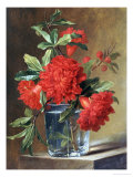 Buy Red Carnations and a Sprig of Berries in a Glass on a Ledge at AllPosters.com