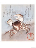 A Crab on the Seashore
