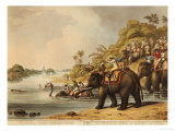Buy Chasing a Tiger Across a River at AllPosters.com