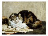 Buy A Tabby Cat, 1920 at AllPosters.com