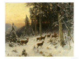 Buy Deer in Winter Wooded Landscape at AllPosters.com