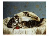Buy Kittens up to Mischief at AllPosters.com