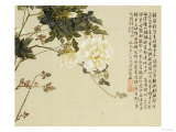 Buy Flowers, from an Album of Ten Leaves at AllPosters.com