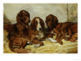 Buy Shot and His Friends, Three Irish Red and White Setters, 1876 at AllPosters.com