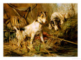 Buy Two Smooth-Haired Fox Terriers by a Fishing Rod and a Creel on a Riverbank at AllPosters.com