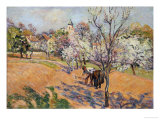 Buy Two Peasants Sowing Haricots in an Orchard in Blossom at AllPosters.com