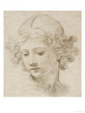 The Head of an Angel, Looking Down to the Left