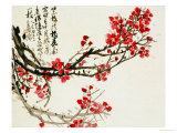 Plum Blossoms
