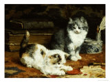 Buy Signed and Sealed, 1907 at AllPosters.com