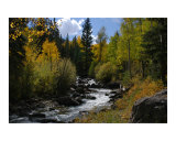 Buy Bilk Creek, Colorado at AllPosters.com