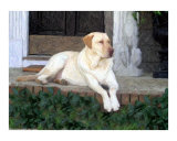 Buy Duke Bradley at AllPosters.com
