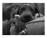 Sleeping Giant