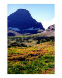 Buy Logan's Pass- Glacier National Park, Montana at AllPosters.com
