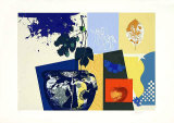 Blauer Falter