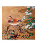Mandarin Duck Pair