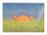 Sonne in Wiese