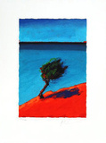 The Breeze, 2001