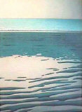 Maree Basse