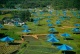 The Blue Umbrellas, no. 14, c.1991
