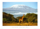 Kimana Area - Kenya