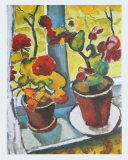 Flowers at the Window, Begonias