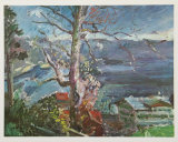 Tree at the Walchensee