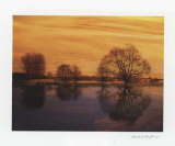 Buy Afterglow II at AllPosters.com